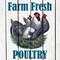 Farm Fresh 2 Poster Print by Allen Kimberly - Item # VARPDXKASQ577B